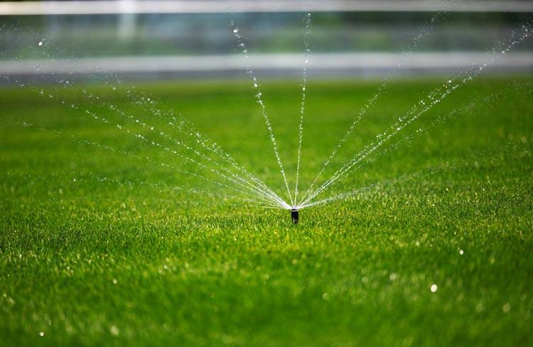 fotografía de Instalación de sistemas de riego por aspersión en Calicanto hecho por Jardinería Gartalia en Valencia