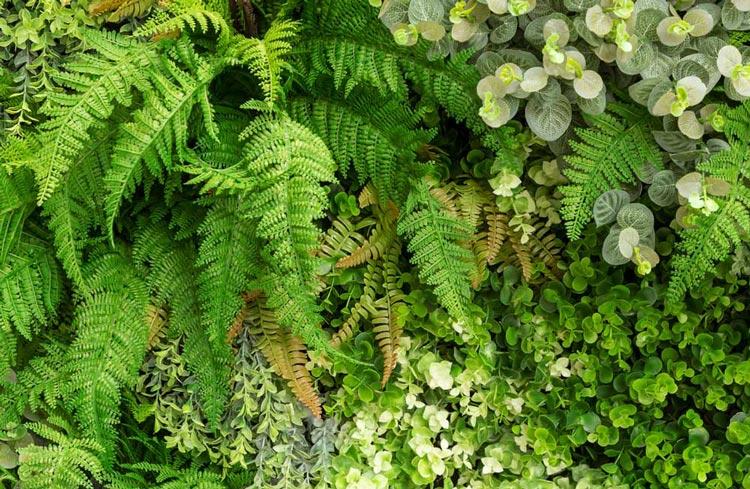 fotografía de Instalación de jardines verticales en Manises hecho por Jardinería Gartalia en Valencia