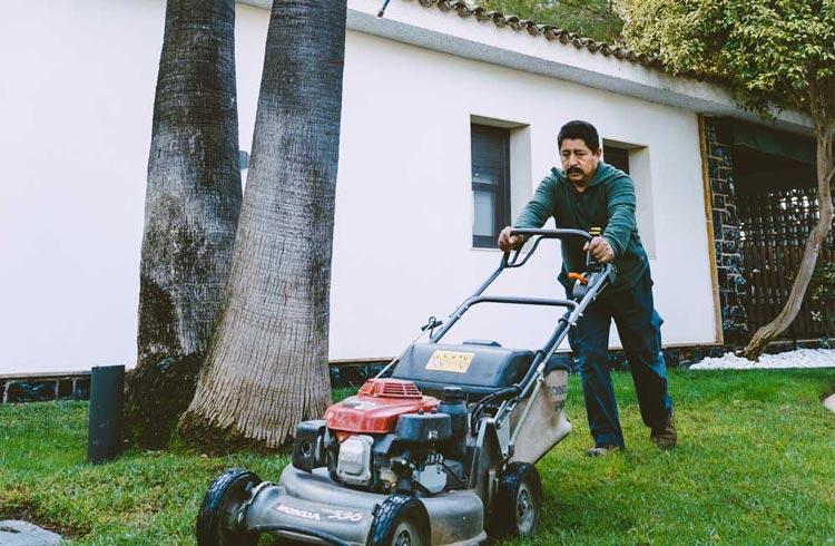 fotografía de Mantenimiento de comunidades en Torrent hecho por Jardinería Gartalia en Valencia