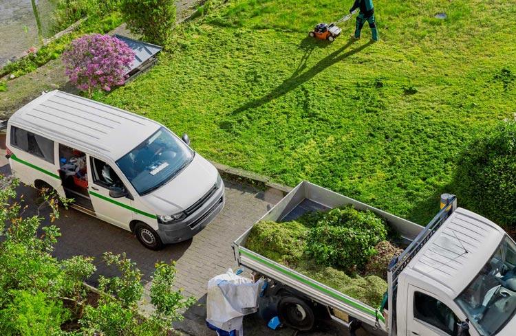 fotografía de Limpieza de parcelas en Albal hecho por Jardinería Gartalia en Valencia