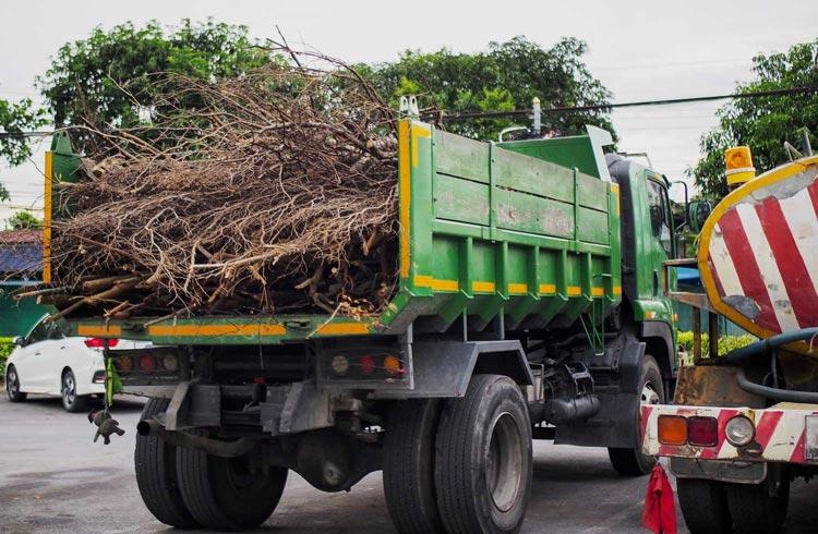 fotografía de Recogida y disposición de residuos en Calicanto hecho por Jardinería Gartalia en Valencia