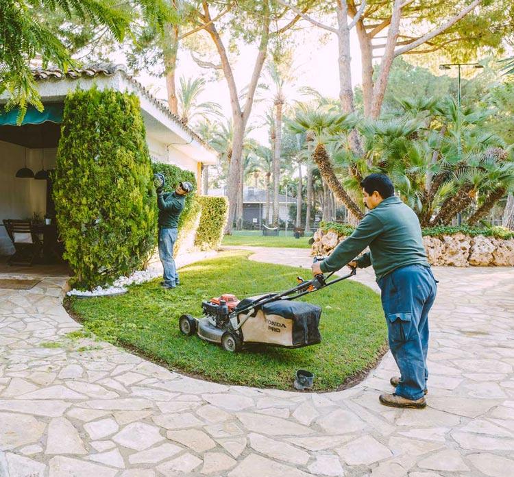 Trabajador de Gartalia cortando el césped en Resort El Oasis La Eliana