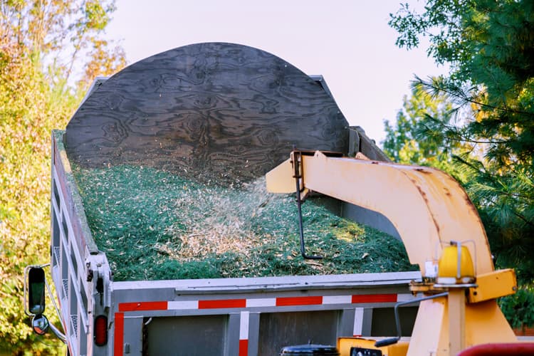 fotografía de Triturado y reciclaje de restos vegetales en Campo Olivar hecho por Jardinería Gartalia en Valencia
